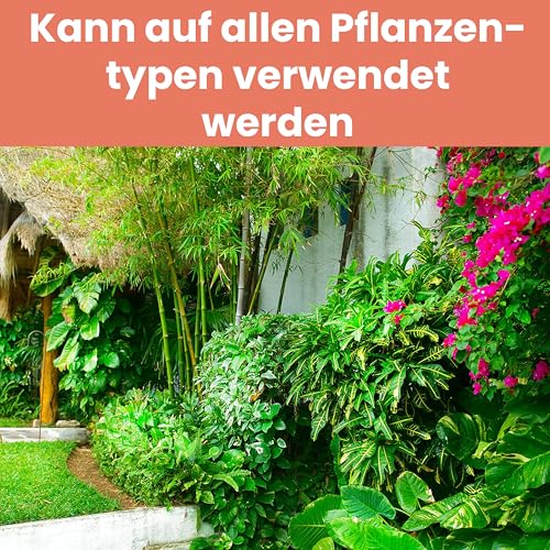 LERAVA® – Eisenchelat Dünger (200g) – Eisendünger für Pflanzen | Hortensien Dünger Eisen – Wirkt gegen Chlorose & Blattvergilbung – Kräftiges Blattgrün & sichtbarer Effekt nach wenigen Tagen 4