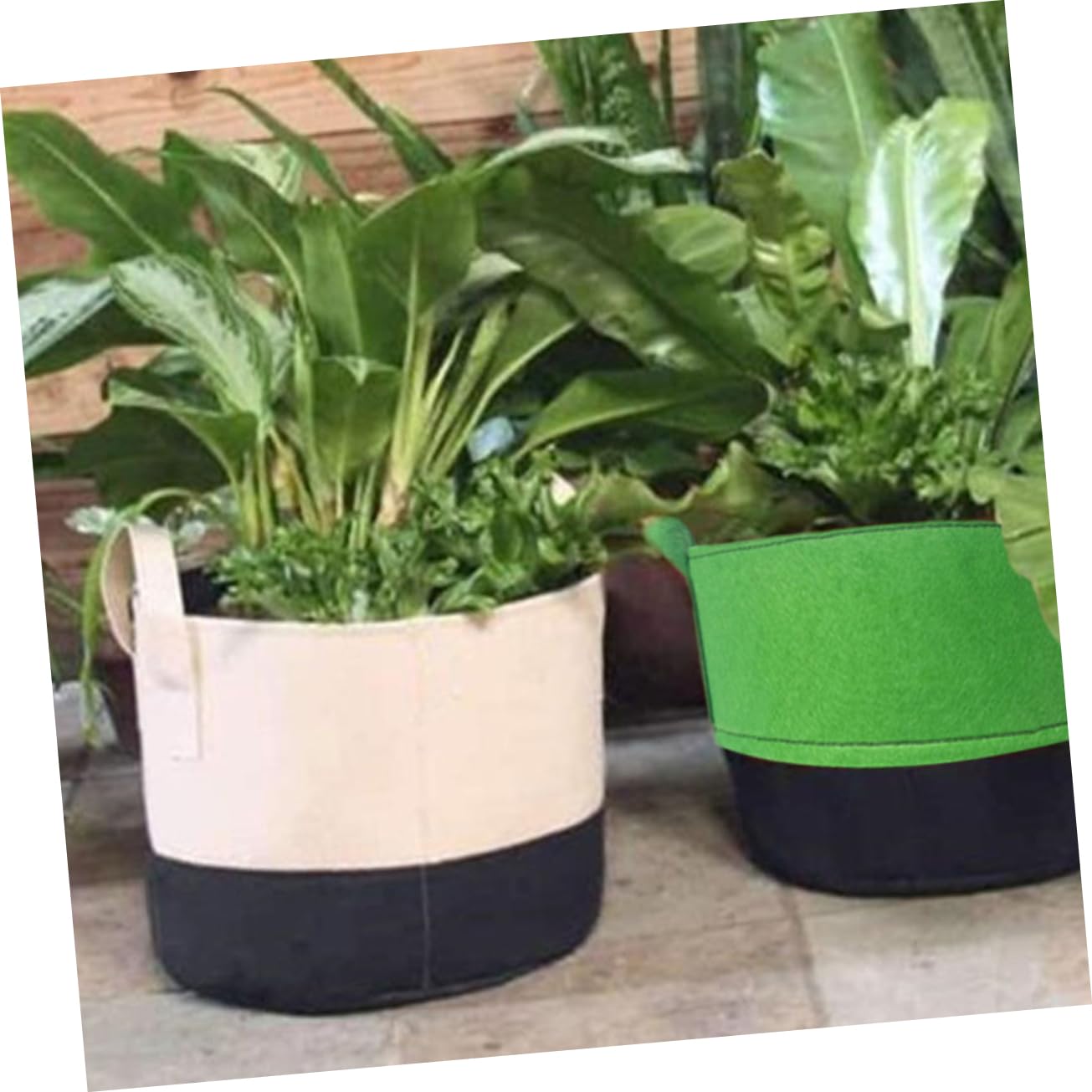 6piezas Bolsas De Cultivo De Plantas De Fieltro Macetas Transpirables para Jardín Tiesto para Verduras y Flores Cultivo Interiores y Exteriores