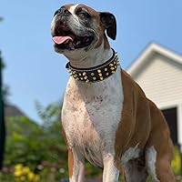 Vista 7 de BlazingPaws® Sabrington - Collar de perro de cuero con púas de lujo de 2 pulgadas de ancho para perros grandes con púas atornilladas en cuero negro