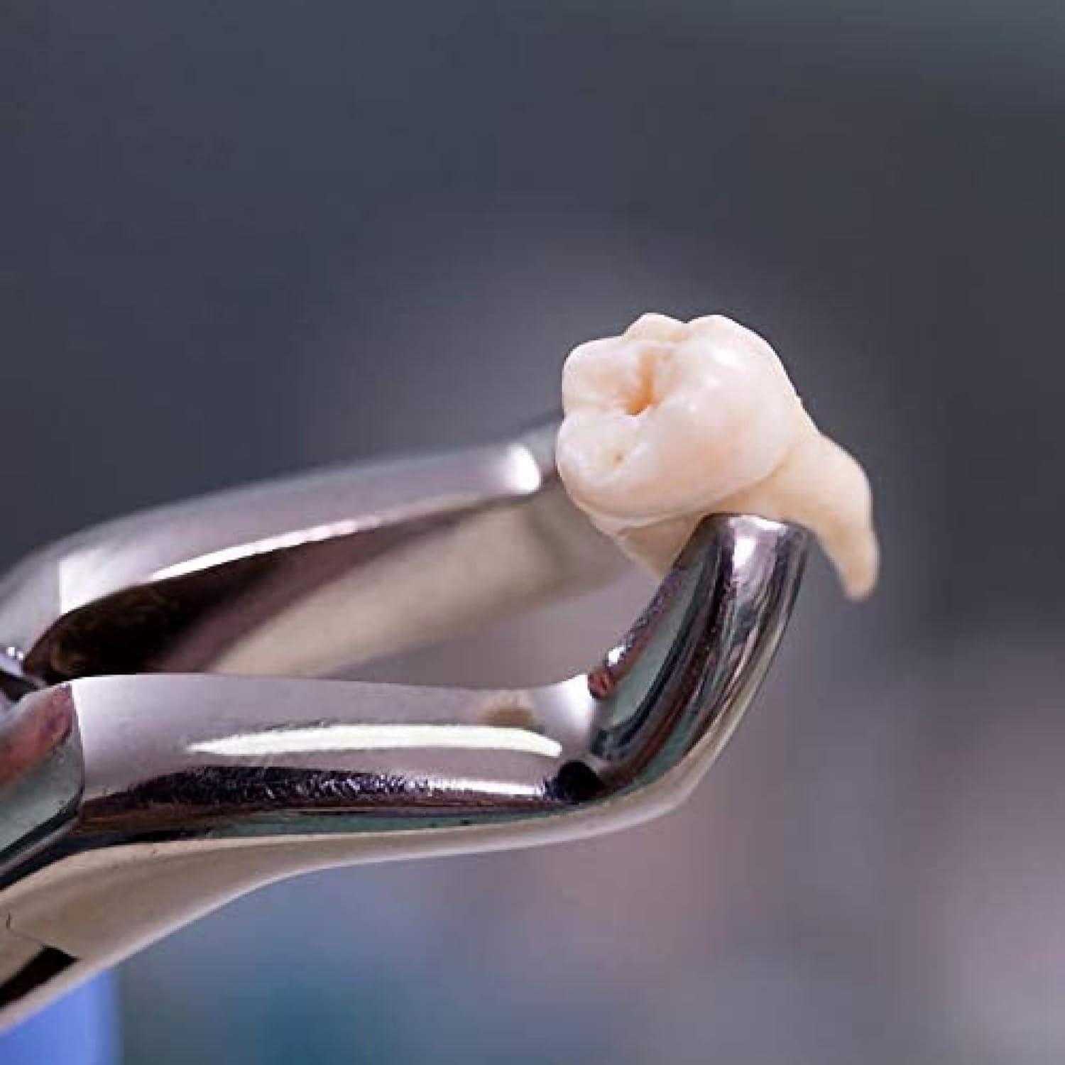 Set per L'estrazione dei Denti Dentali, 1 Set di Pinze per Pinze per L'estrazione Dentale in Acciaio Inossidabile Kit di Pinze per L'estrazione dei Denti Chirurgici Dentali, Adults