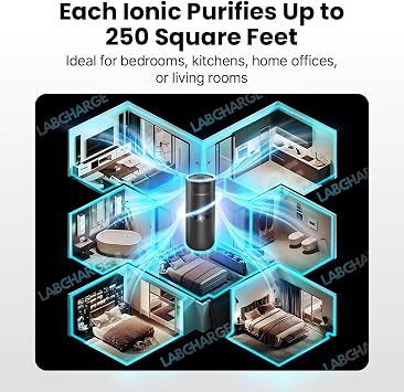 LabCharge 小型イオン空気清浄機 自宅&寝室用 – サイレントHEPAフィルター – 250平方フィートをカバー – ペット、髪、煙、ほこり、臭い、フケ用のフリークリーナー – コンパクト&ブラックデザイン - 5個パック