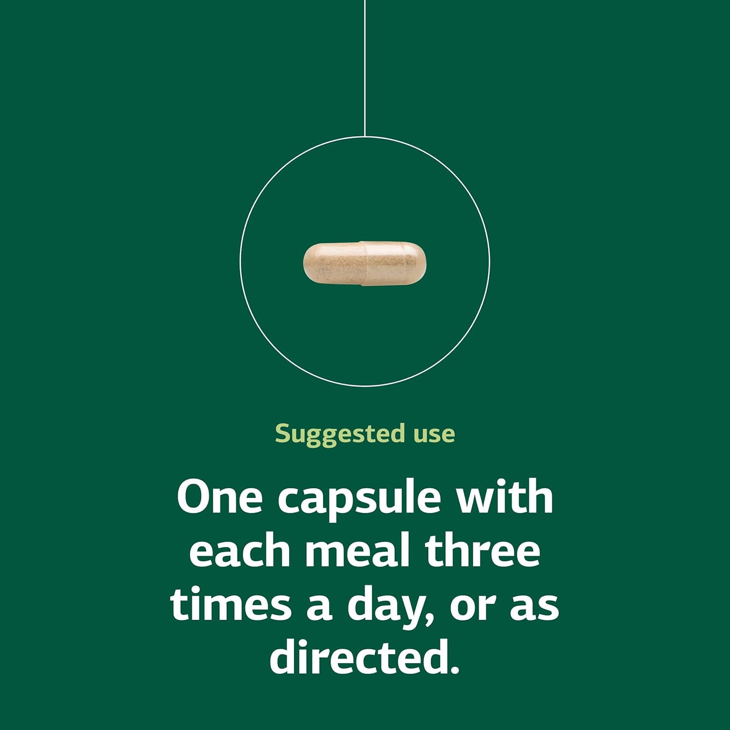 Standard Process Inc. Enzycore - 150 Capsules - Image 5