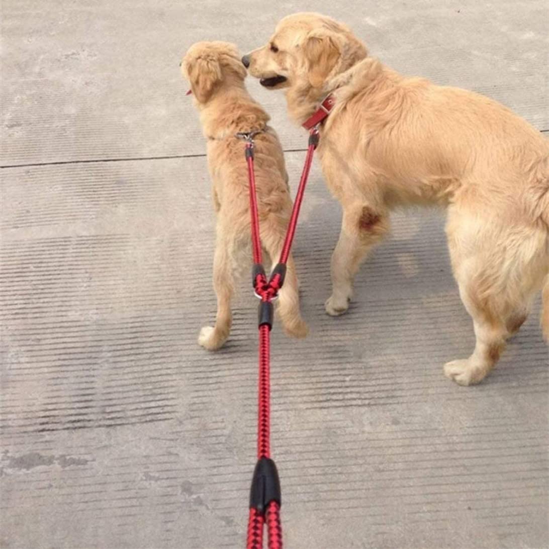 Correa Perro Correr Collar De Perro Mascota Dos Cabezas, Correa Restricción Seguridad Plomo para Cachorros Estilo Doble, Perritos Antideslizantes Reforzada(Rot,1.5 * 120cm)