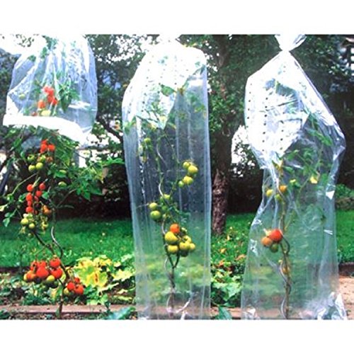 Emanhu Trading Tomaten Reifehaube Schutzhaube Reifefolie 10x0,65 M Tomatenschutz