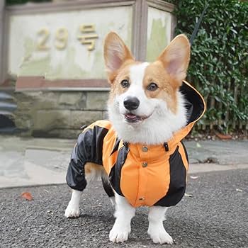 GOOD DESIGN コーギー専用レインコート イエロー/グレー コーギー専用レインコート - CAMPFIRE (キャンプファイヤー)