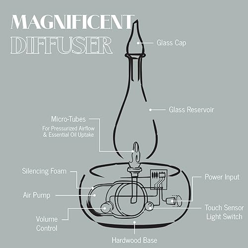 Miniatura 6 de Organiz Aromas - Magnífico difusor de aceites esenciales para aromaterapia en madera y vidrio, 1