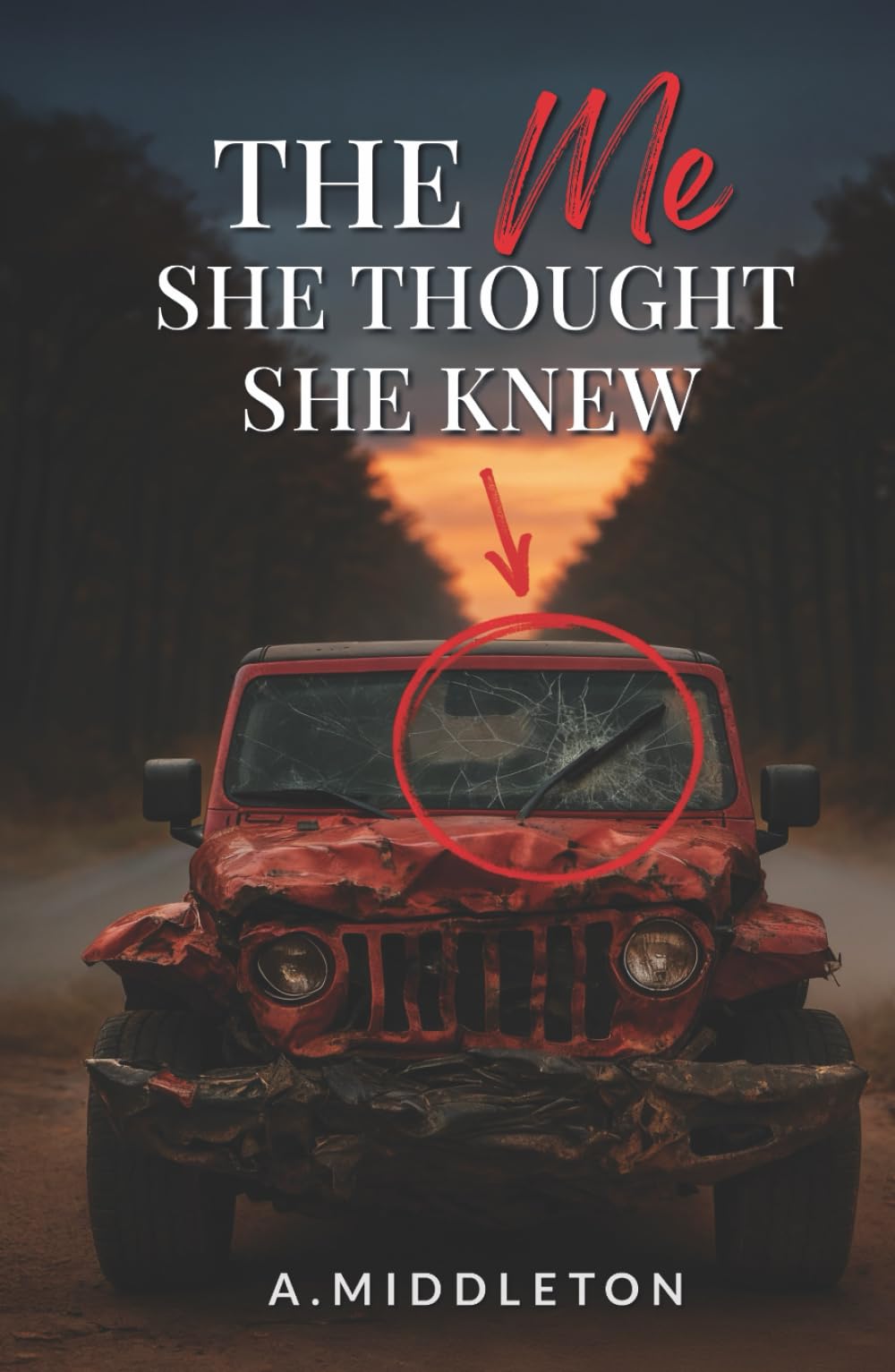 The Me She Thought She Knew (The Me I Never Knew Series)