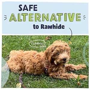 Pawstruck-Natural-1-4-Bully-Stick-Bites-for-Small-Dogs-Puppies--Single-Ingredient-Digestible-Rawhide-Free-Alternative-High-Protein-Chew-Treat-Bones-8-oz-Bag-Packaging-May-Vary - Cucciolini Doodles Pawstruck-Natural-1-4-Bully-Stick-Bites-for-Small-Dogs-Puppies--Single-Ingredient-Digestible-Rawhide-Free-Alternative-High-Protein-Chew-Treat-Bones-8-oz-Bag-Packaging-May-Vary