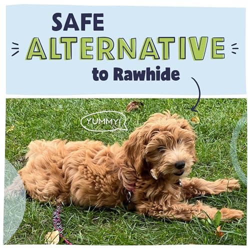 Pawstruck-Natural-1-4-Bully-Stick-Bites-for-Small-Dogs-Puppies--Single-Ingredient-Digestible-Rawhide-Free-Alternative-High-Protein-Chew-Treat-Bones-8-oz-Bag-Packaging-May-Vary - Cucciolini Doodles Pawstruck-Natural-1-4-Bully-Stick-Bites-for-Small-Dogs-Puppies--Single-Ingredient-Digestible-Rawhide-Free-Alternative-High-Protein-Chew-Treat-Bones-8-oz-Bag-Packaging-May-Vary