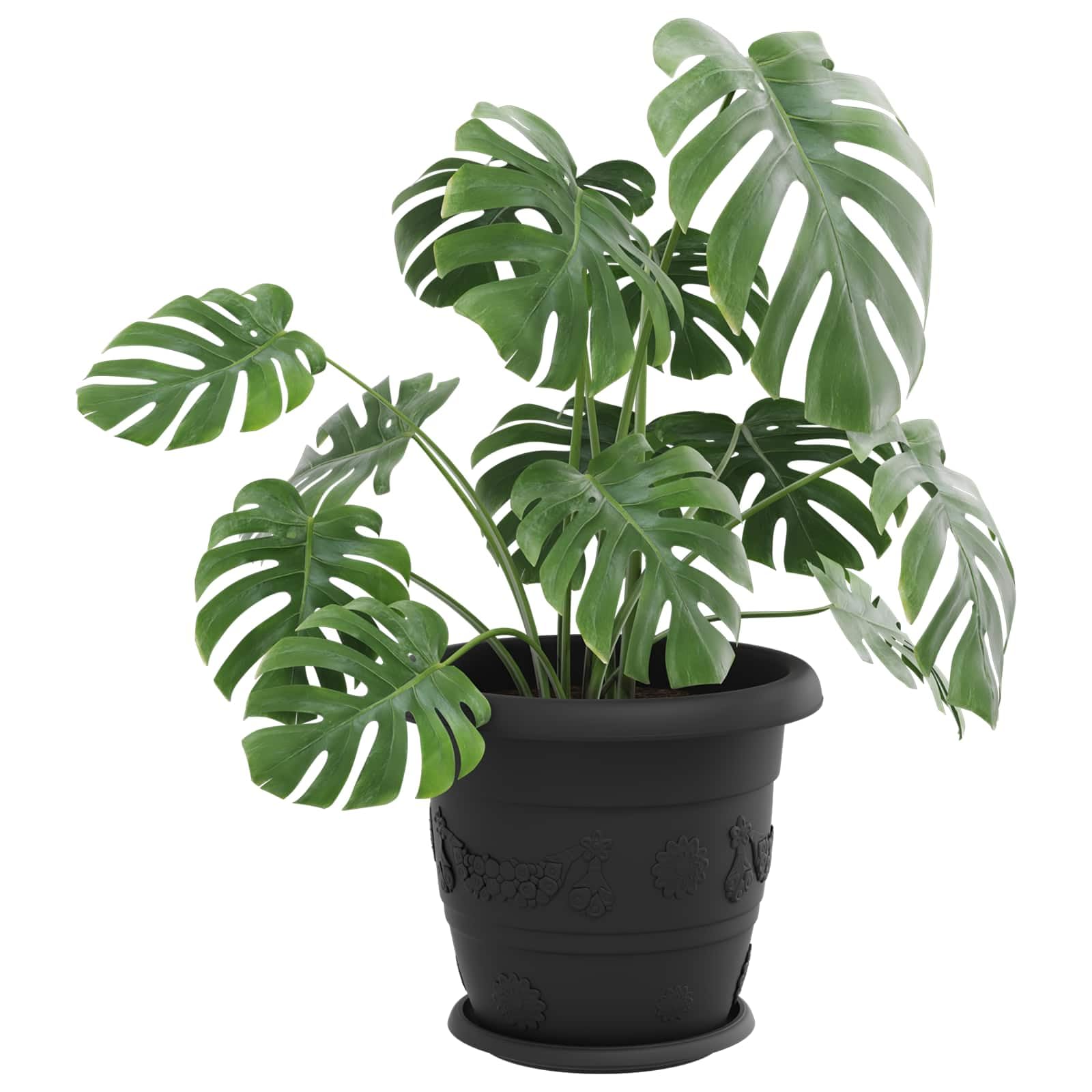 Doniczki 6 sztuk Czarny 34 x 28 cm Plastikowe Donice do Wnętrz i Ogrodu z Otworami Drenażowymi Nowoczesny Design Lekkie i Trwałe
