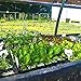 AIFUSI 10 Pack Seed Starter Kit, 72 Cell Seedling Trays Gardening Germination Plastic Tray Nursery Pots Mini Propagator Plant Grow Kit Plug Tray Starting Trays for Seedling Germination