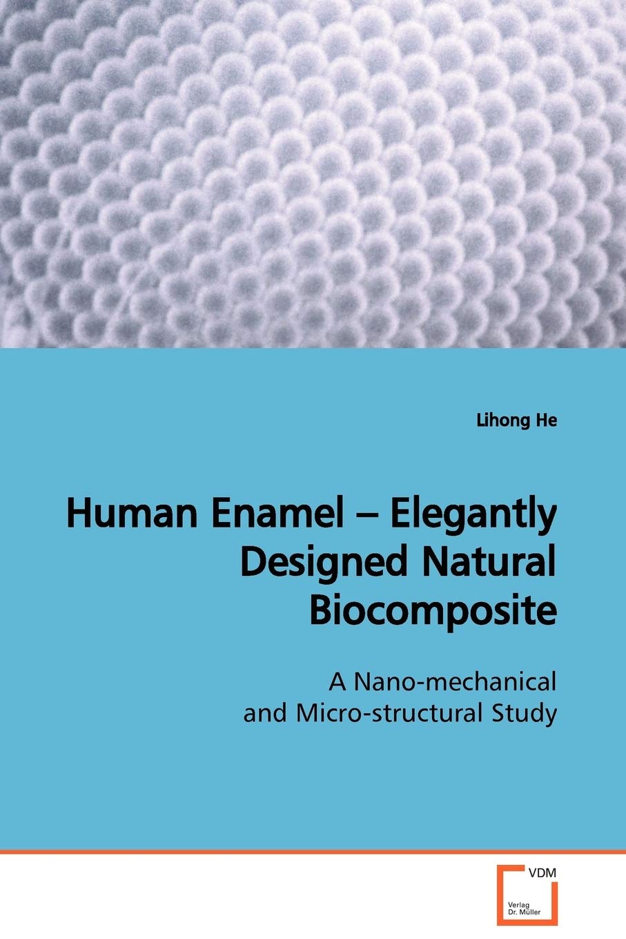 Human Enamel - Elegantly Designed Natural Biocomposite