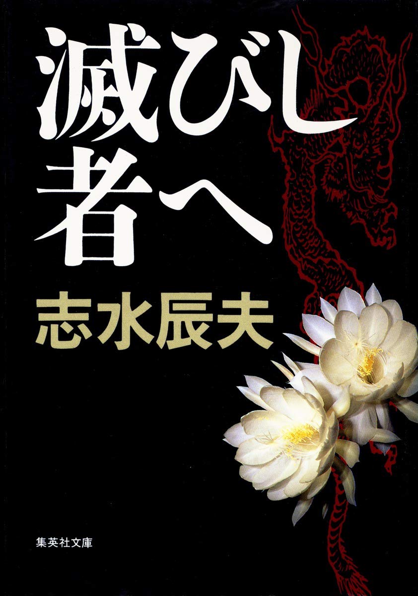 汲々不及吟 歌集  /不識書院/清水房雄（単行本） 汲々不及吟 歌集 /不識書院/清水房雄（単行本） 汲々不及吟 通販