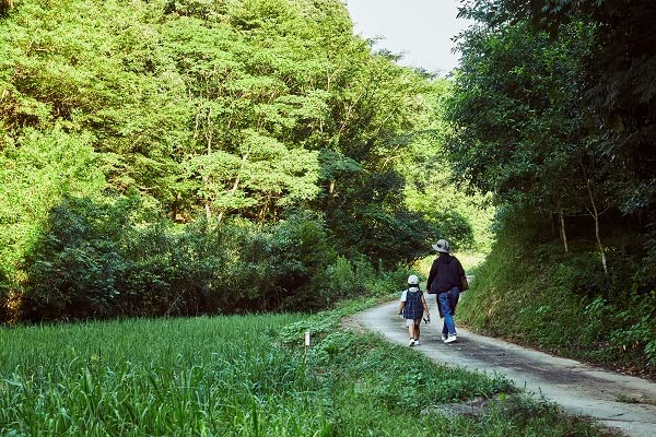 Amazon.co.jp: 【へちまや群生舎】新2025年天然へちま水せの200ml