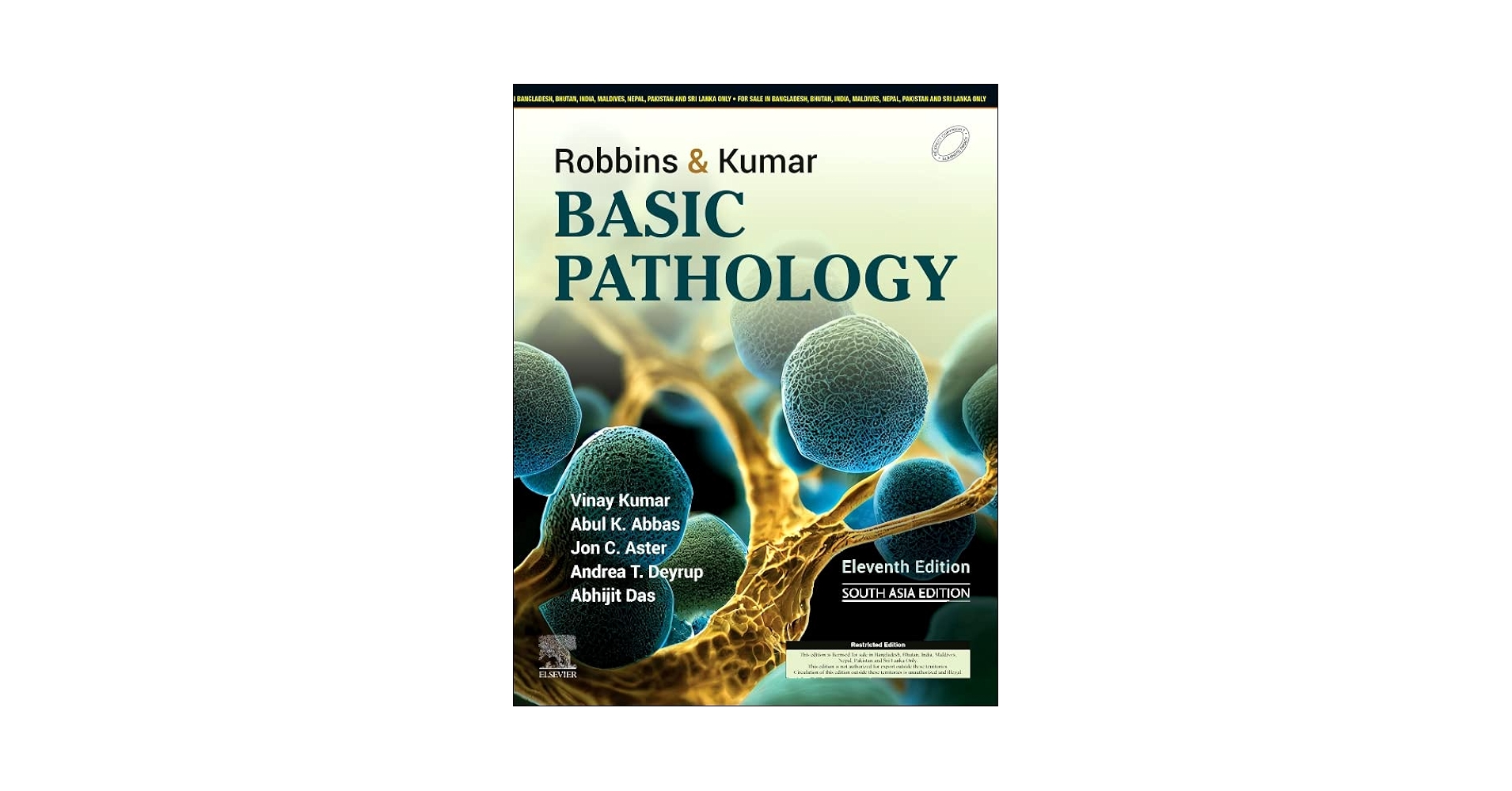 Robbins & Kumar Basic Pathology (SAE) -11E: Kumar