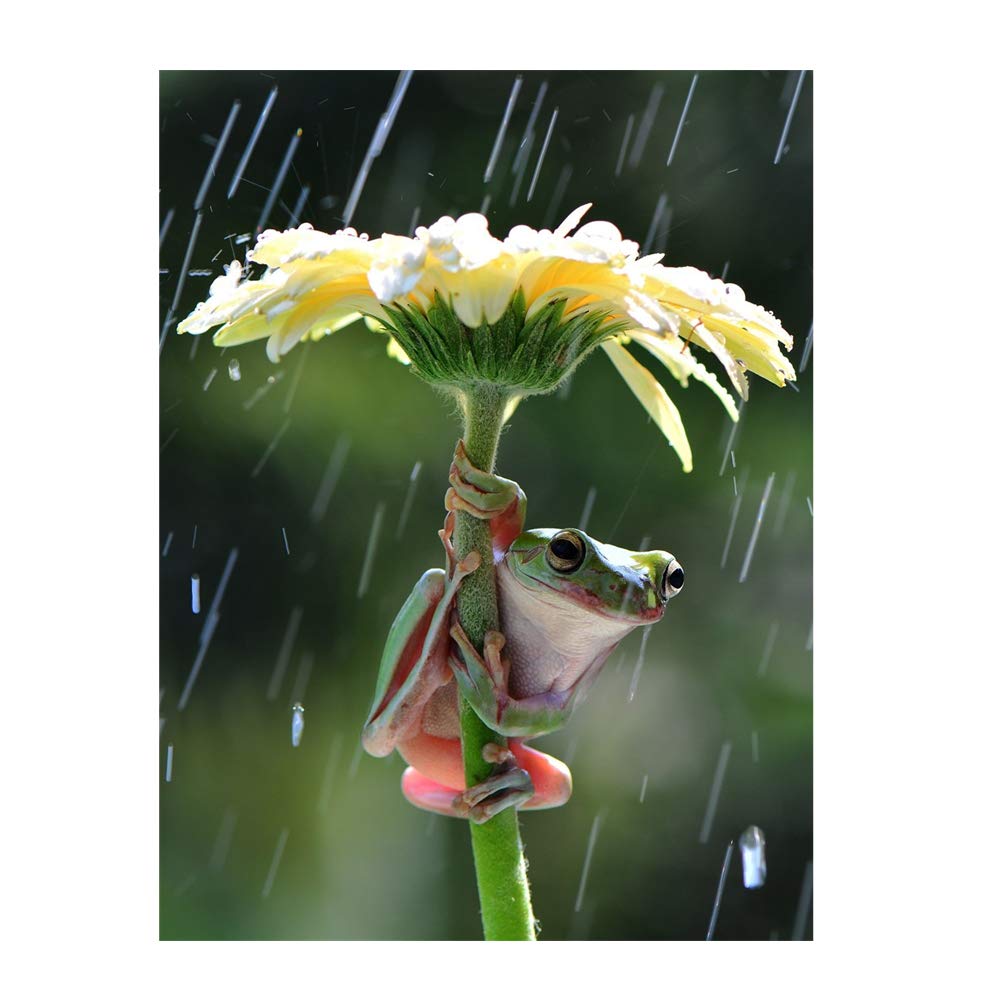 5D Diamond Painting Kit Beautiful Flowers and Plants Full Drill Diamond Embroidery Painting DIY Embroidery Cross Stitch Painting for Home Wall Decor (Yellow)