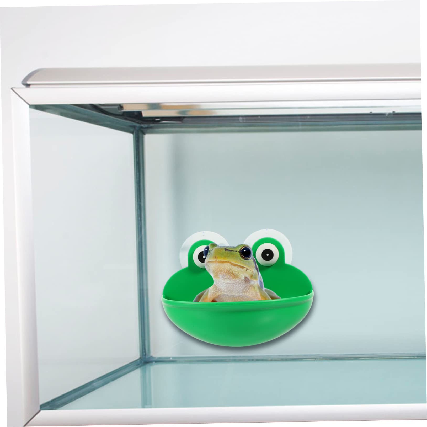 6stücke Reptilien Ruheplatz Und Spielbecken Für Terrarium Zubehör Für Frösche Und Geckos Naturnahe Gestaltung Für Haustiere