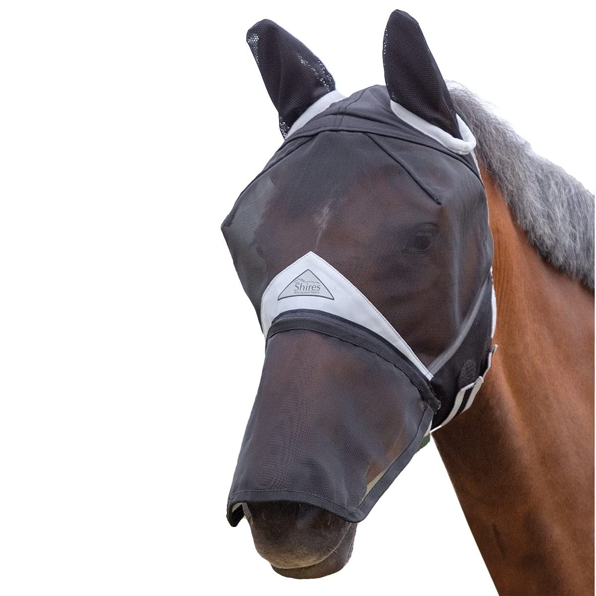 Fly maschera con zebra-tology