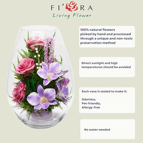 Fiora Flower | Long Lasting Orchids| Lasts Up To 5 Years | No Water Need | Allergy Free | Odor Resistant | Unique Present Gift #TOP6