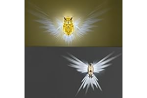 3D Eagle Owl Wall Lighting
