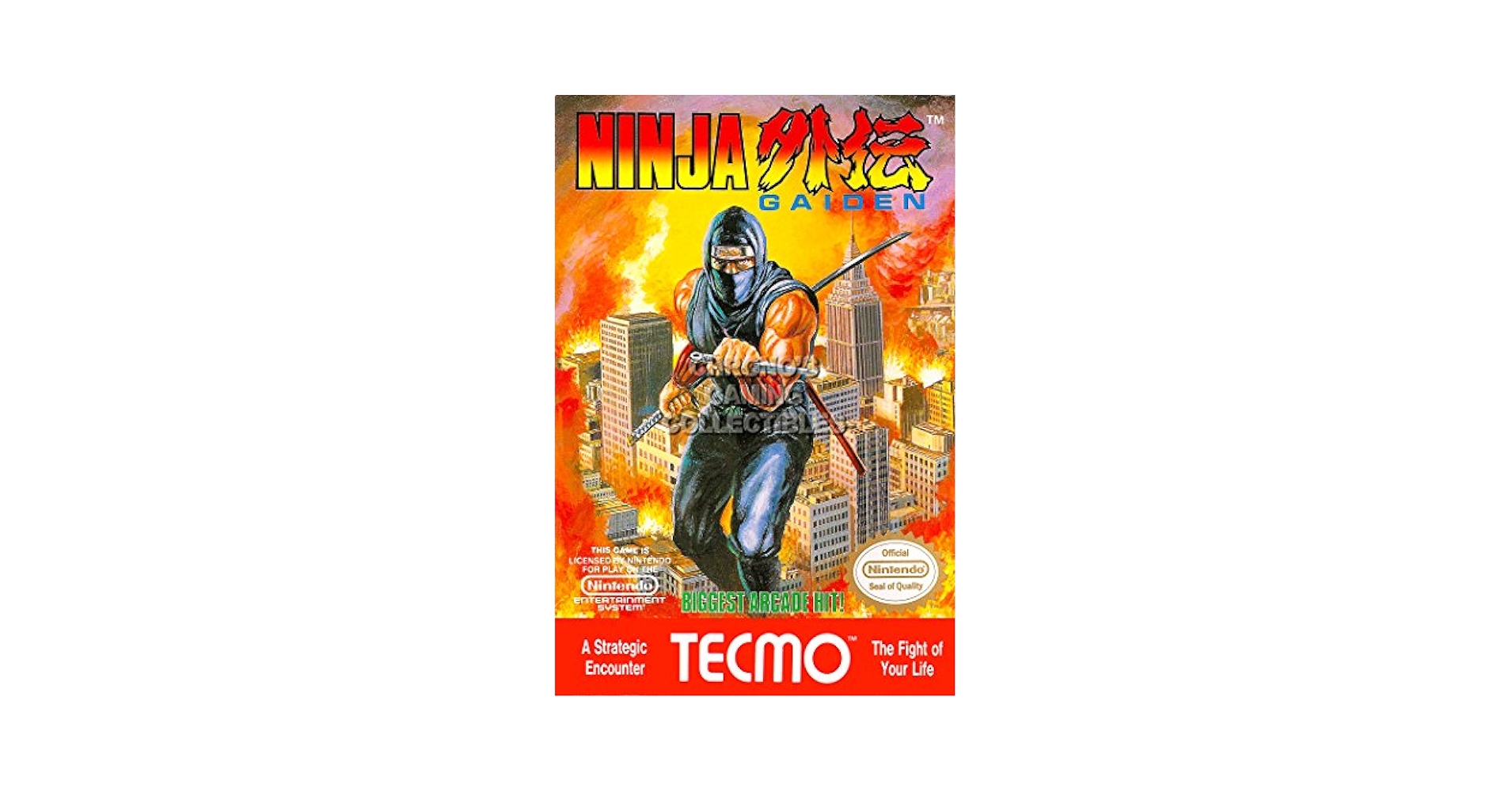 Amazon.com: PrimePoster - Ninja Gaiden BOX ART Poster GLOSSY