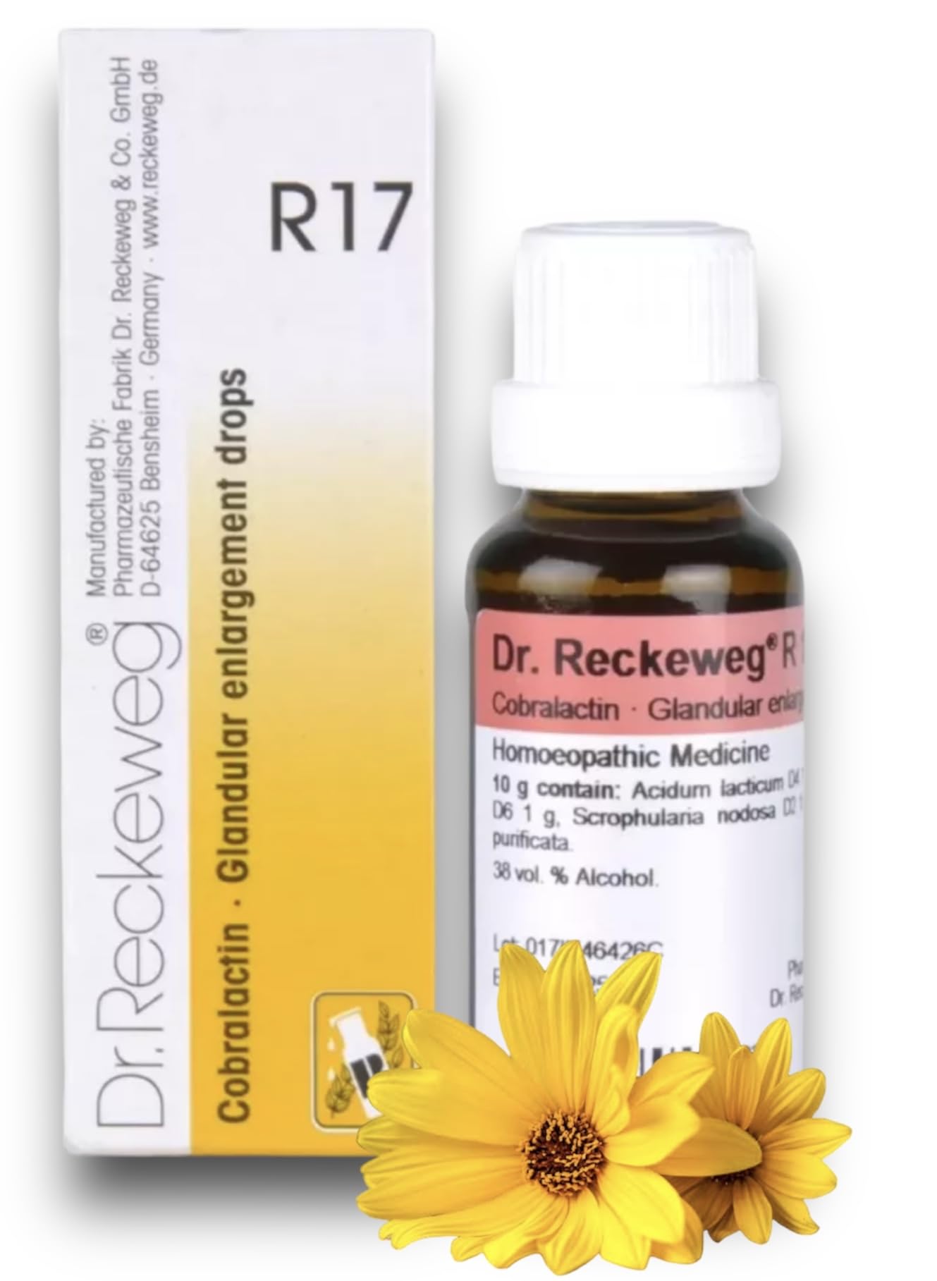Dr Reckeweg R17 Homeopathic Medicine - 22ml (B0CH9836CR) Amazon Price History, Amazon Price Tracker