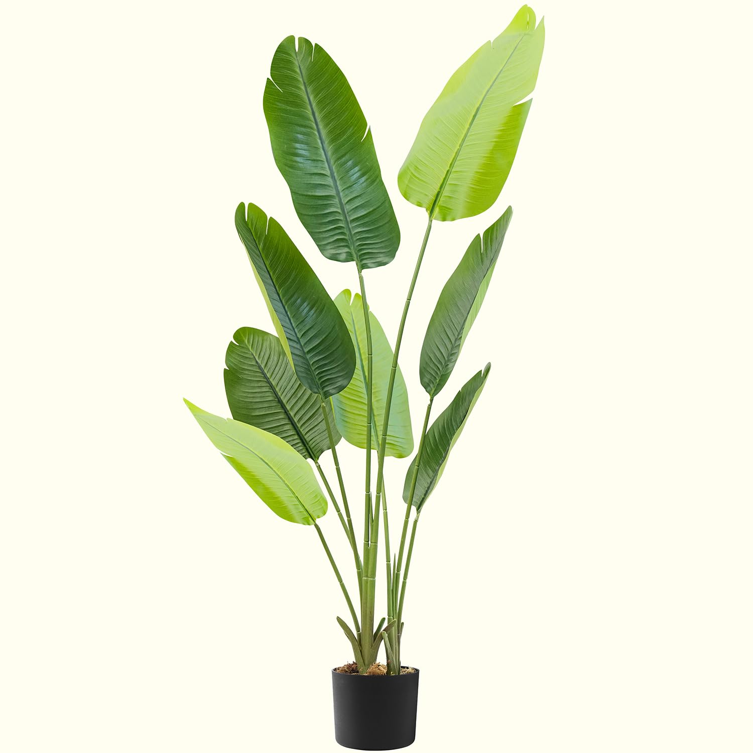ABOUT SPACE 6 Leaves 4 ft Birds Of Paradise Artificial Plant for Home Decor - Natural Looking Plant Decor Big Fake Ornamental Banana Plants with Pot | Lightweight Indoor Plants for Living room, Office (B0DHV6BVXY) Amazon Price History, Amazon Price Tracker