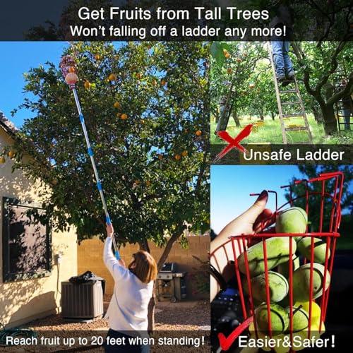 Image of Fieldstar 15 Feet Heavy-Duty Fruit Picker Tool | 10 Section Stainless Steel Pole with Strong Metal Basket | Easy Tree Fruit Harvesting Fruit Plucker Basket, Fruit Catcher