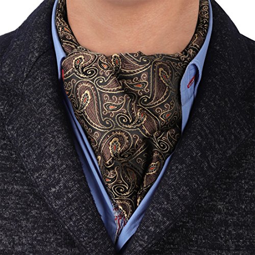Epoint ERA1B08A Brown Black Paisley Interview Mens Ascot for Mens Woven Silk Fourth-Of-July Gift Cravat