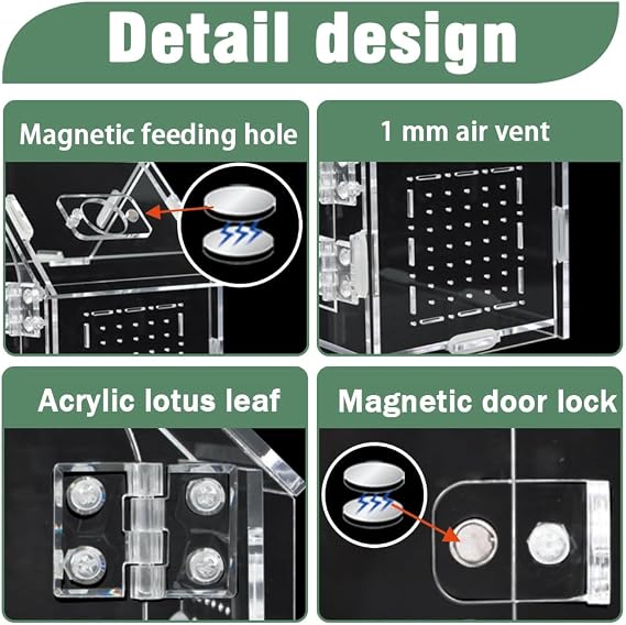 Acrylic Jumping Spider Enclosure House-Shaped Terrarium | Clear 360 view tank, magnetic door & top feeding port, 1mm vents, for mantis, tarantula, gecko & small insects