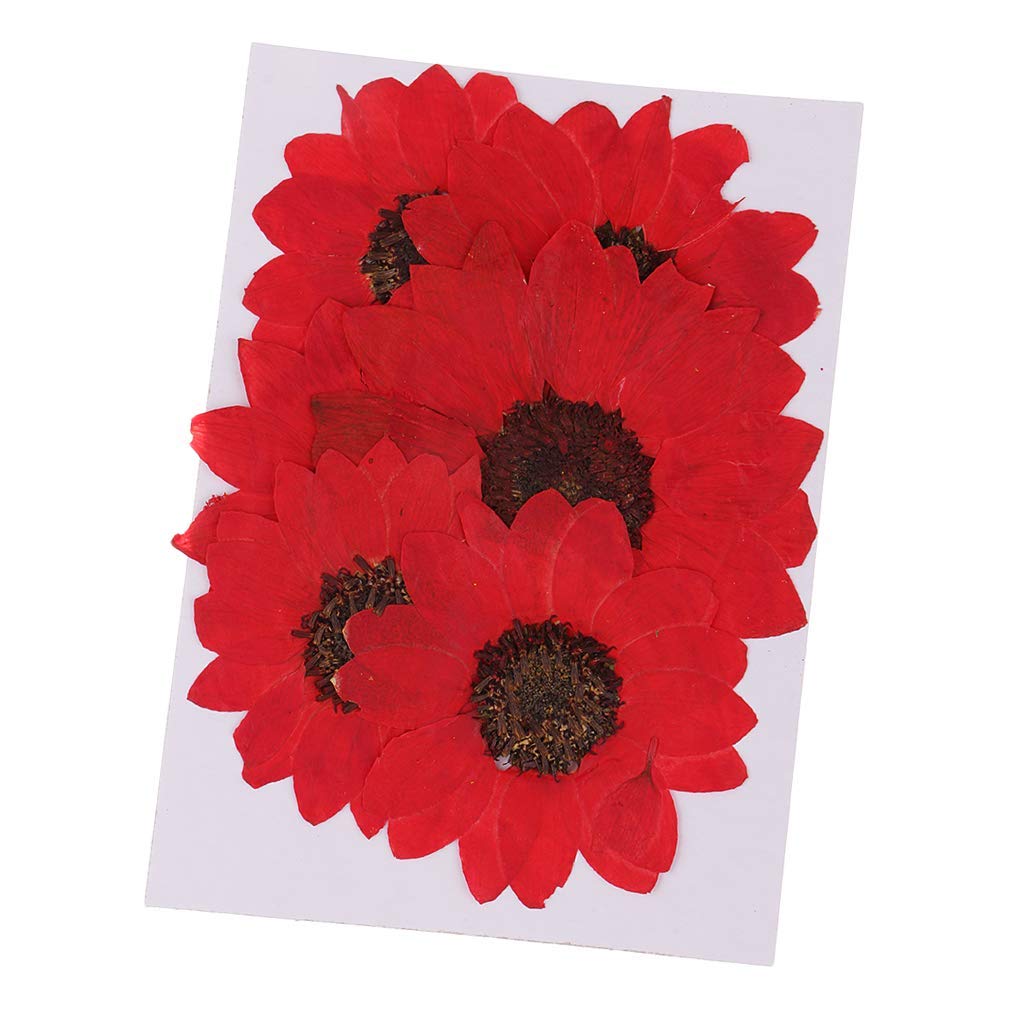 Inzopo 6 Pieces Pressed Flower Real Dried Flower Sunflower Jewelry Making Accessories for Candle Making, DIY Craft, Resin Casting, Handmade Ornament 4-6cm - Red Red