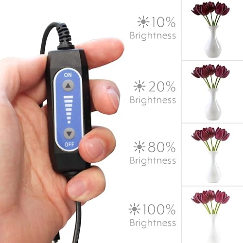 Miniatura 6 de Bower Caja de luz portátil de estudio de 24 pulgadas para teléfonos inteligentes, réflex digitales y cámaras compactas, diseño plegable con