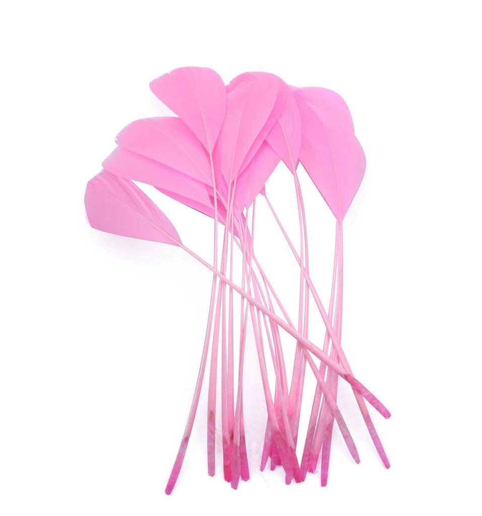 Goose Feather,Feathers,Hgshow Stripped Coque Feather, Pack of 40