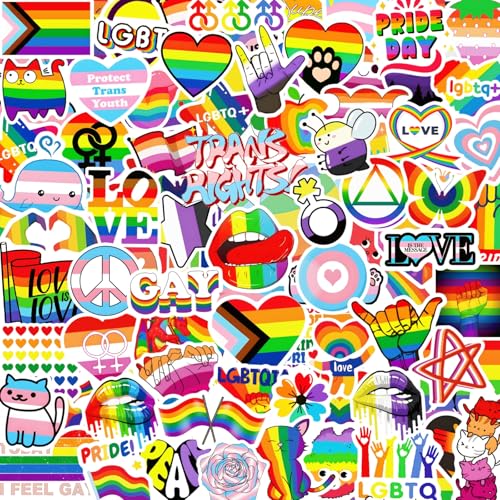 300 PCS Pride Stickers Bulk Mixed All Kinds of LGBTQ+ Stickers for Trans Lesbian LGBTQ Bi Gay Pride Accessories Rainbow Stickers for Pride Month Decorations & Party Supplies(No Duplicates)