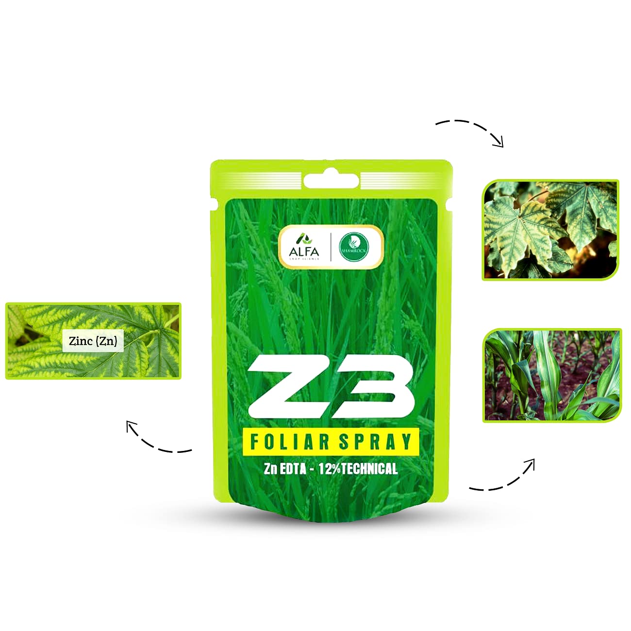 Shamrock Overseas EDTA Zinc Chelated Micronutrient Fertilizer