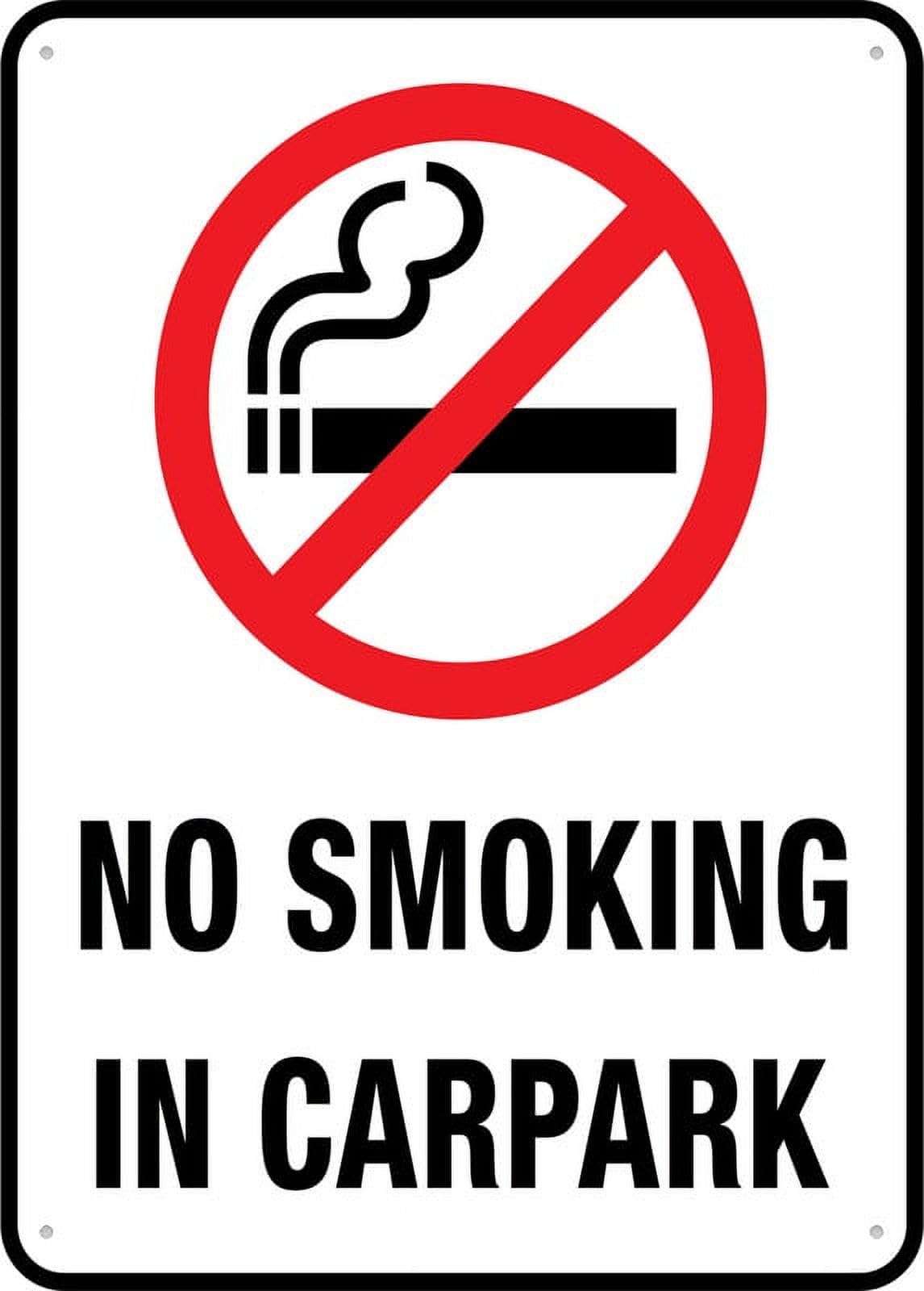 No Smoking In Carpark Sign 12"x8" Rustproof Aluminum, Multicolor