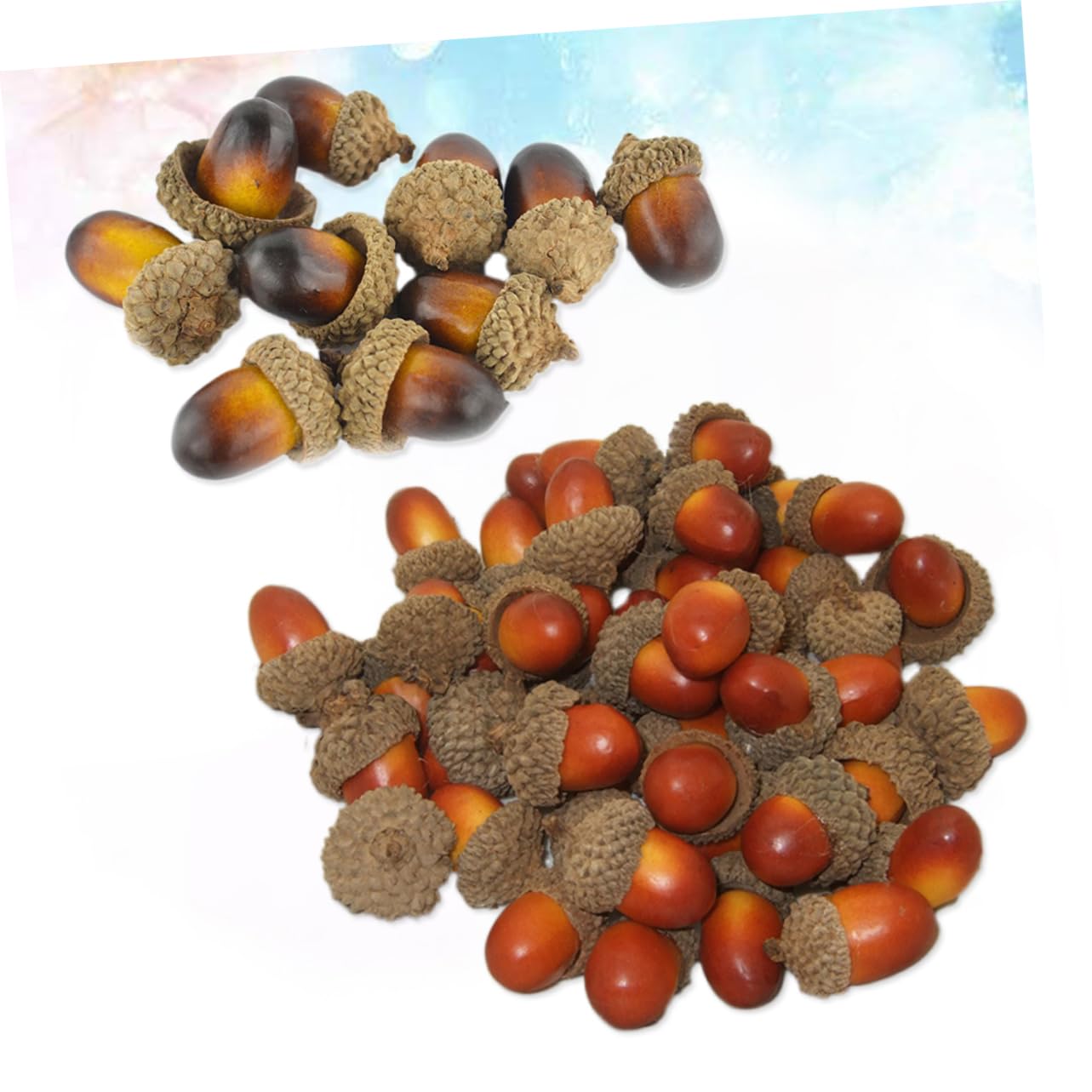 Amazon.co.jp: 100個 シミュレーションどんぐり ホリデーどんぐり