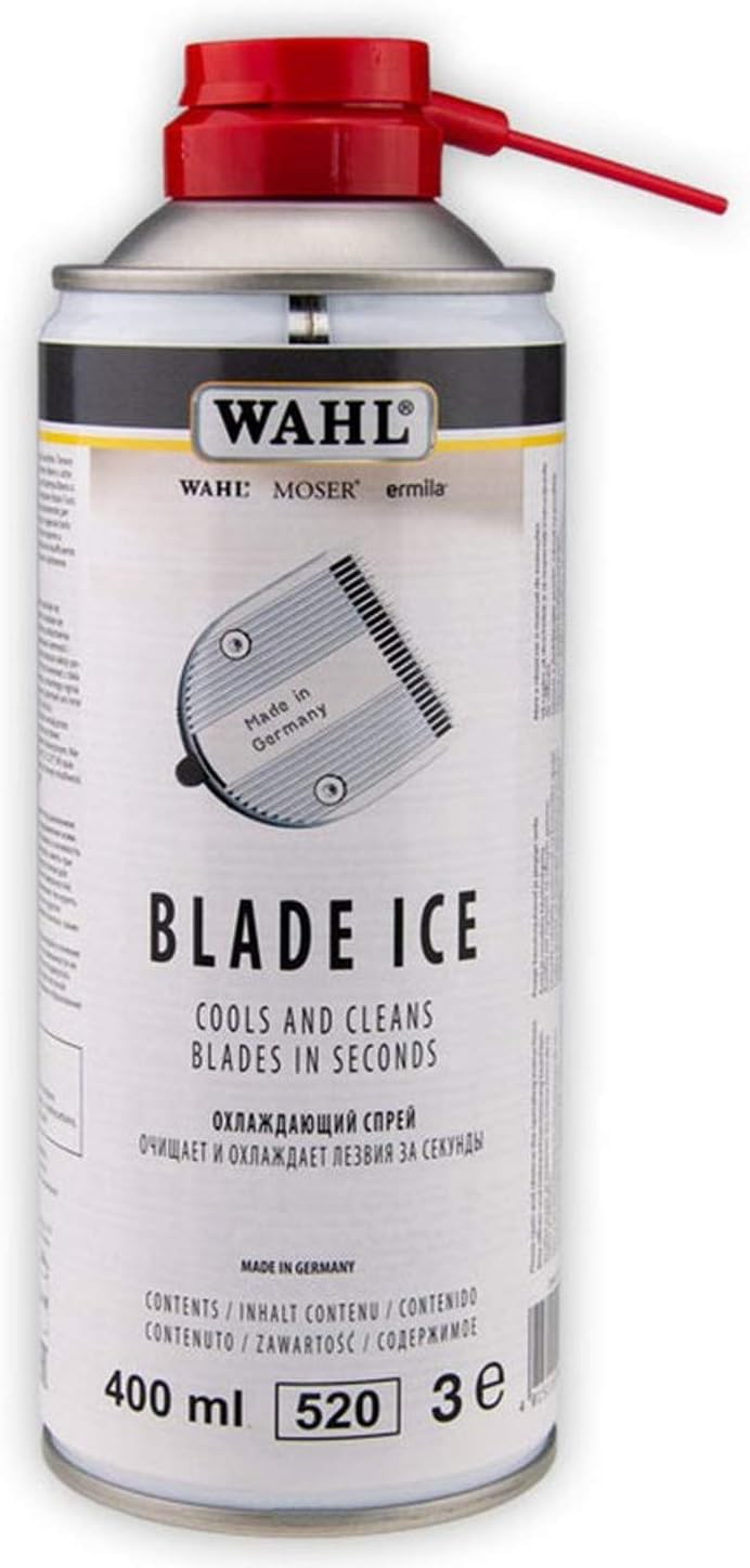 rasoi per il ghiaccio