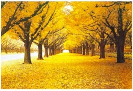 Amazon Co Jp クロスステッチ刺繍キット刺しゅうの子初心者工芸品 大きな黄色い木40x50cm プレプリント刺繍手作りのの針仕事大人供手芸贈り物ホーム家の装飾 11ct ホビー