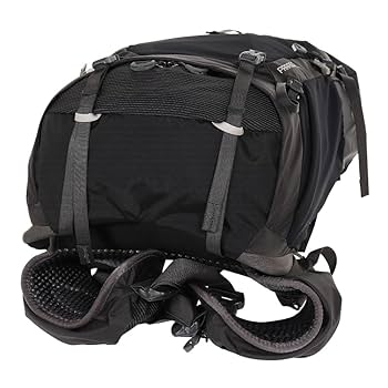 Amazon.co.jp: グレゴリー（GREGORY） 通気性 リュック パラゴン