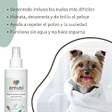 Ver la foto 3