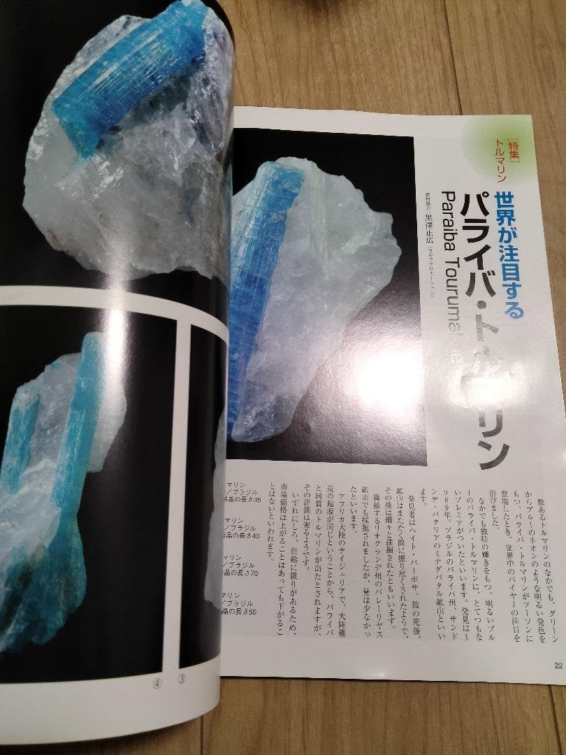 Amazon.co.jp: ミネラ (MINERA) No.4地球の不思議発見