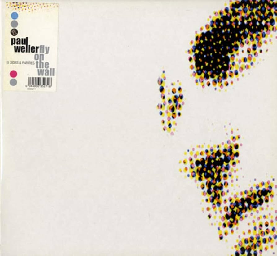 Fly on the Wall: B-Sides & Rarities 1991-2000 [VINYL