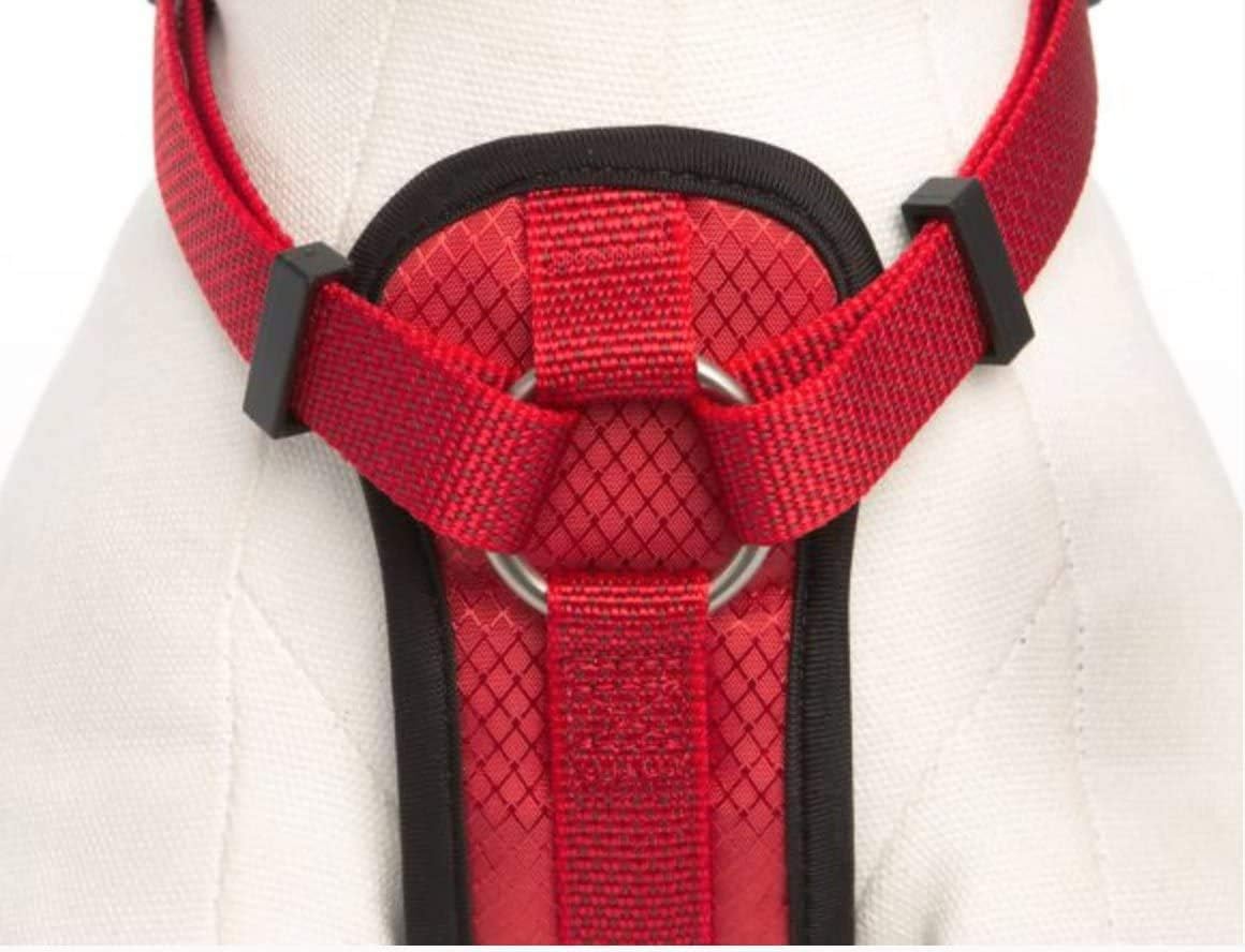 amazon kong harness