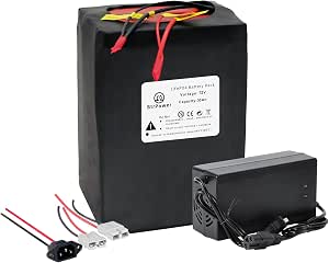 72V 30Ah LiFePO4 Lithium Battery Pack with Built-in 100A BMS