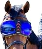 eQUICK eVYSOR - Horse riding to protect the eyes - Original products - Made in Italy - Orange