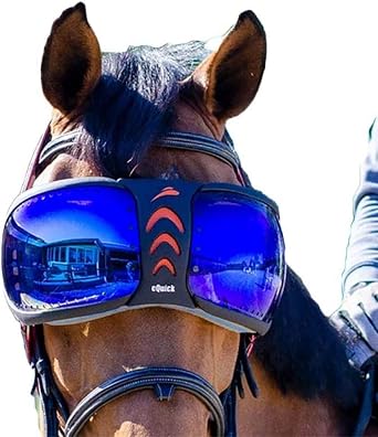 eQUICK eVYSOR - Eye Protection Horse Riding - Original Product - Made in Italy - Orange
