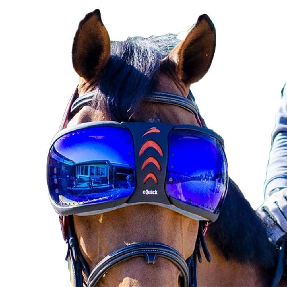 eQUICK eVYSOR - Eye Protection Horse Riding - Original Product - Made in Italy - Orange