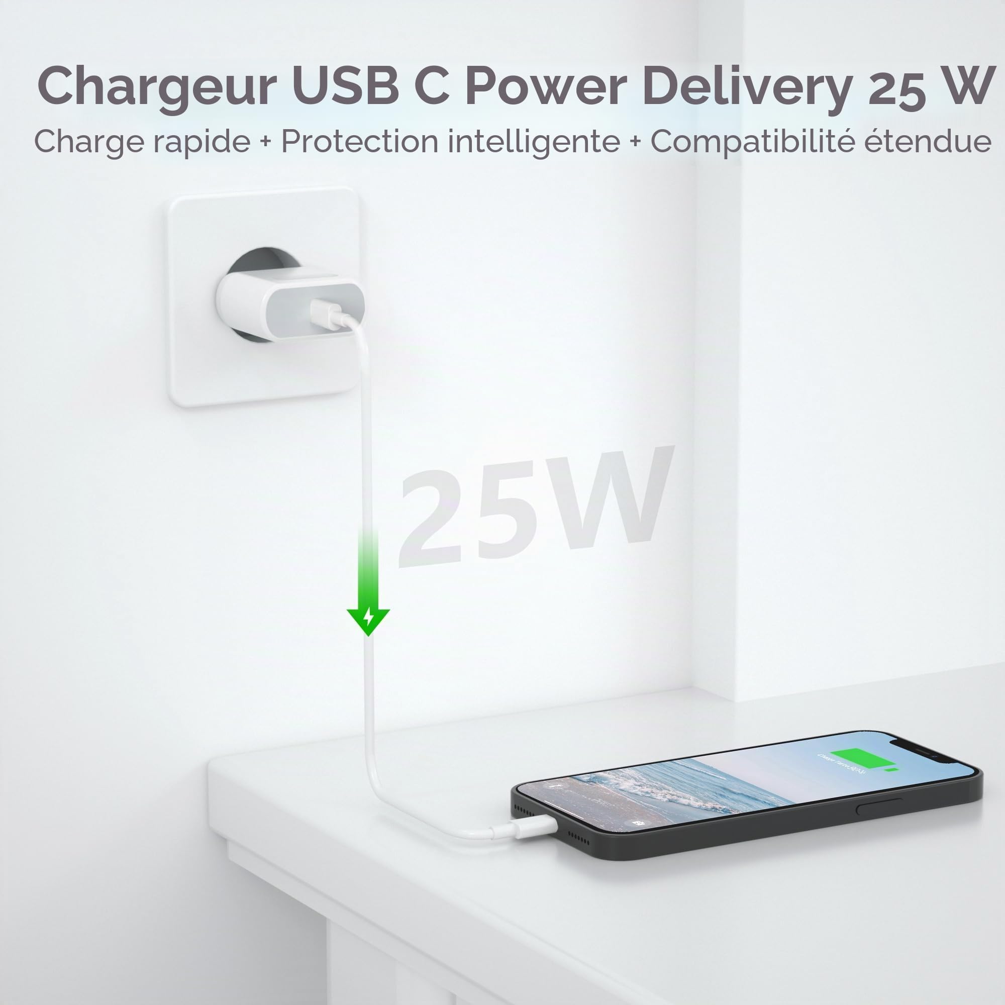 Chargeur Rapide 25W USB C Ecowaare pour iPhone 14 13 12 11 X SE 8 7 6 iPad avec Câble 2M