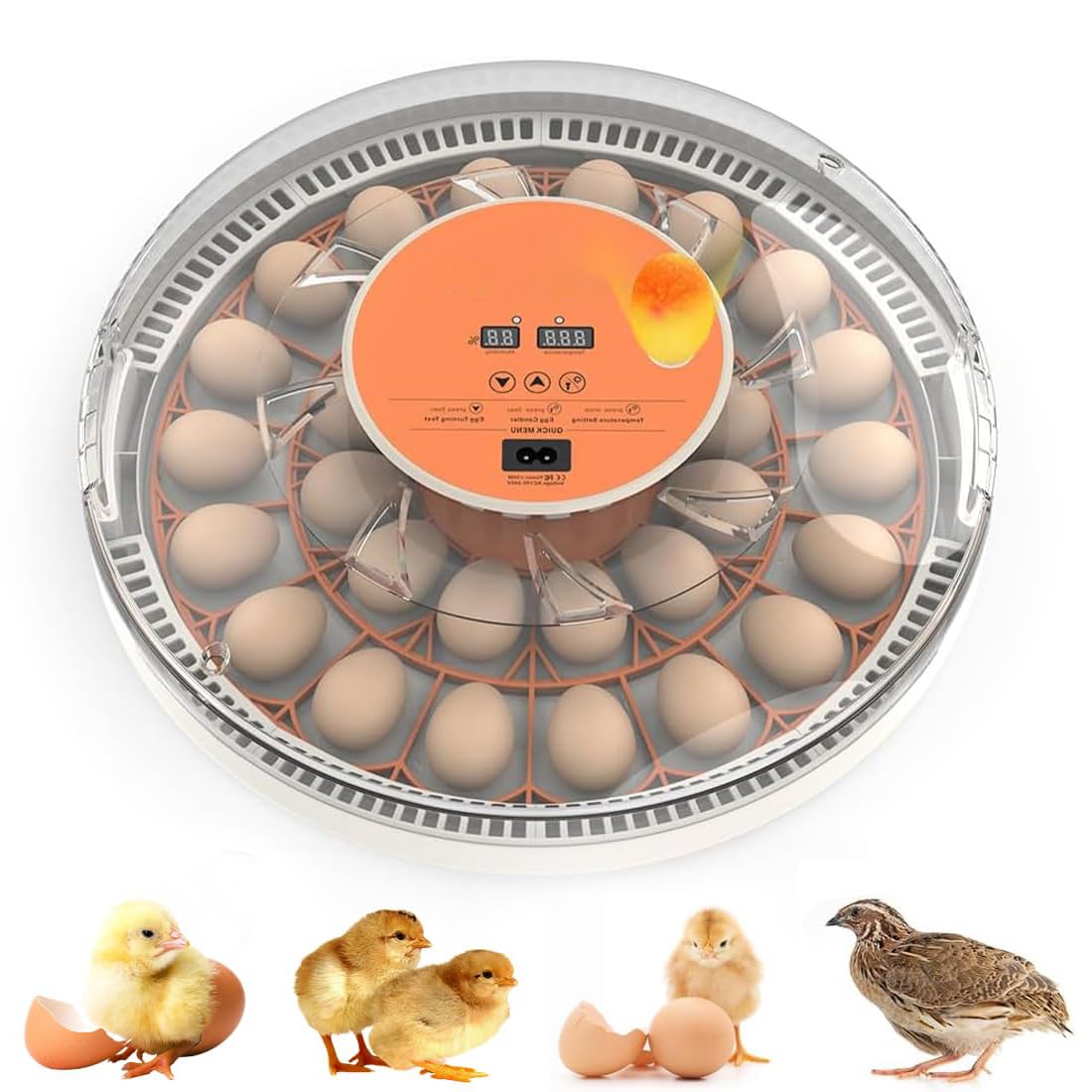 Incubatrice Intelligente per Uova, incubatrice Automatica per Uova, Temperatura e umidità Possono Essere visualizzate e Le Uova Possono Essere girate automaticamente Illuminazione delle Uova